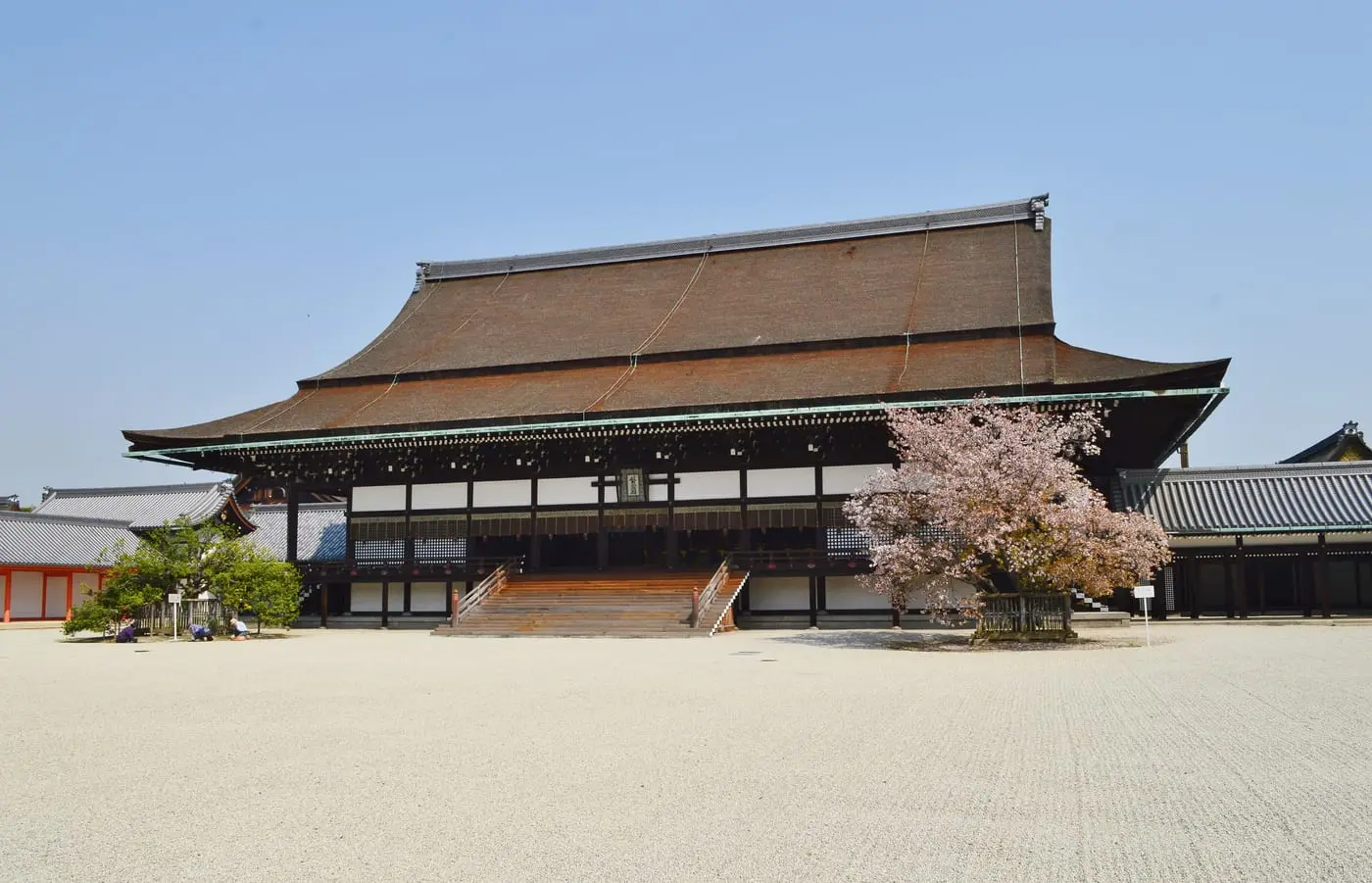 京都御所の紫宸殿。白砂の南庭と、右手に咲く左近の桜